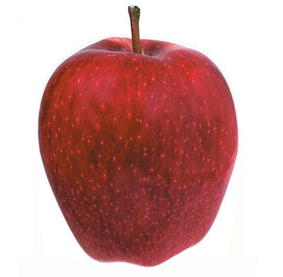 Pomme-Red-Chief