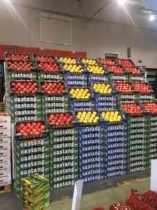 Commercialisation de la Golden de COOPLIM